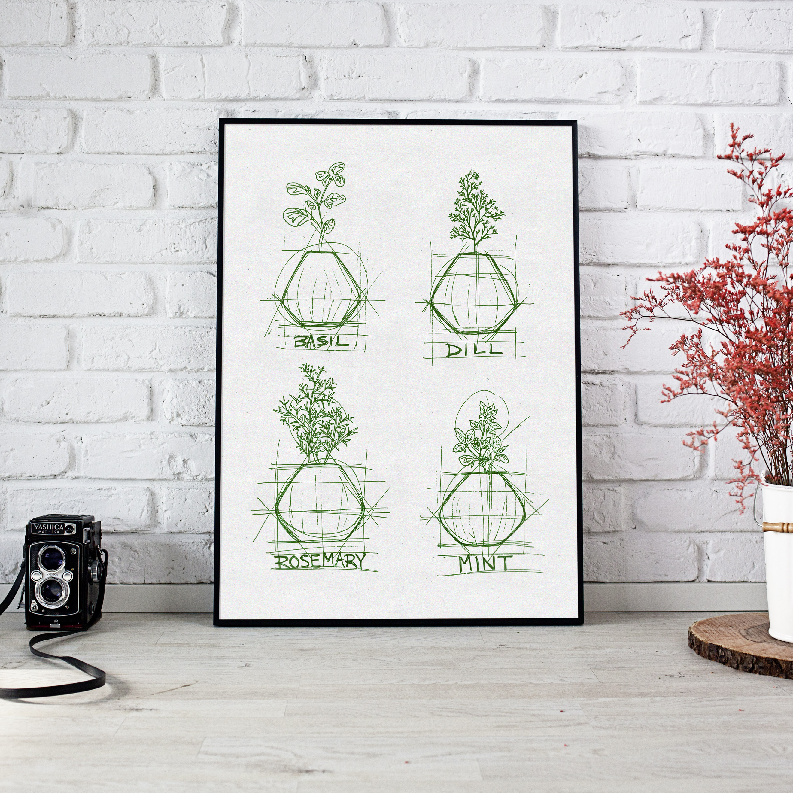 Technical sketches of basil, dill, rosemary and mint, framed.